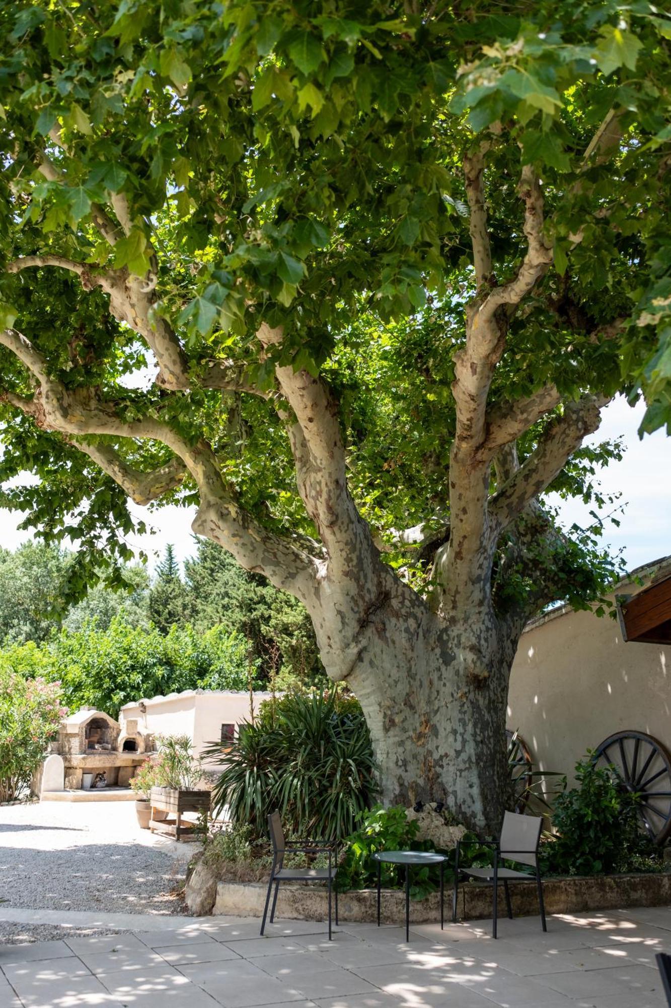 Le Vieux Platane Cairanne Exterior foto