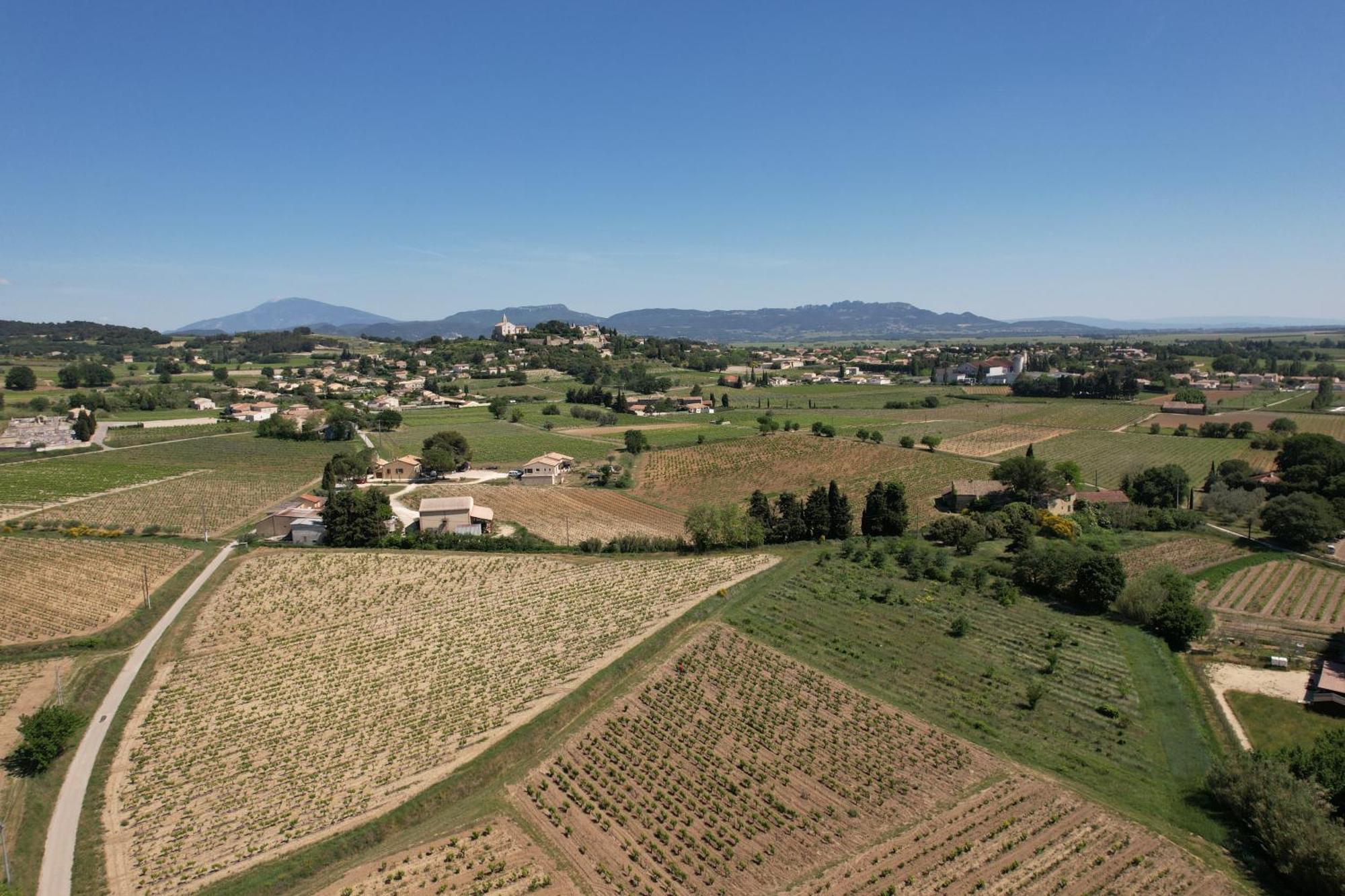 Le Vieux Platane Cairanne Exterior foto